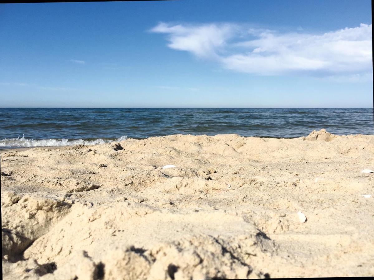 Reet Am Strand Mit Hund Karlshagen Luaran gambar