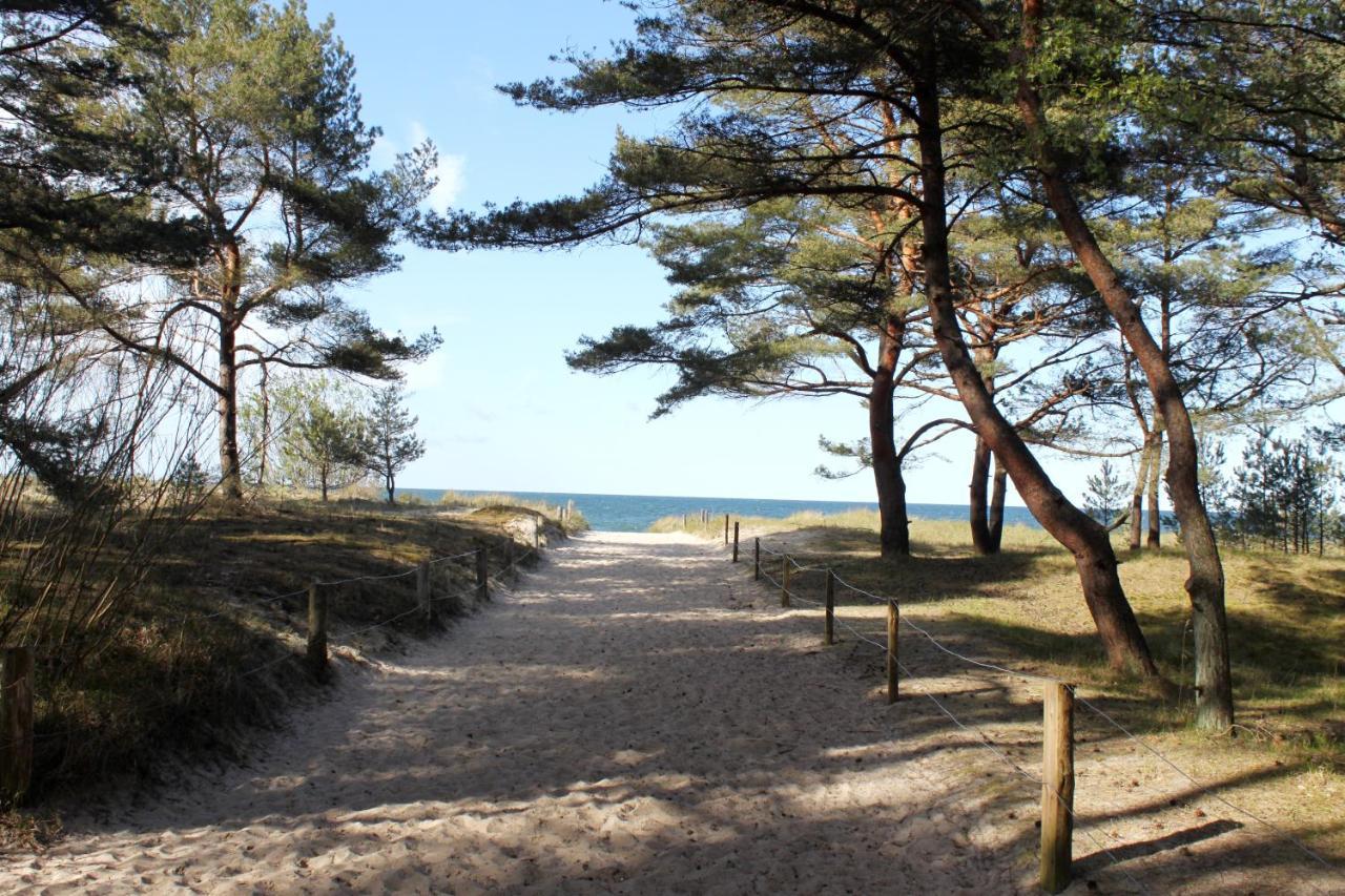 Reet Am Strand Mit Hund Karlshagen Luaran gambar