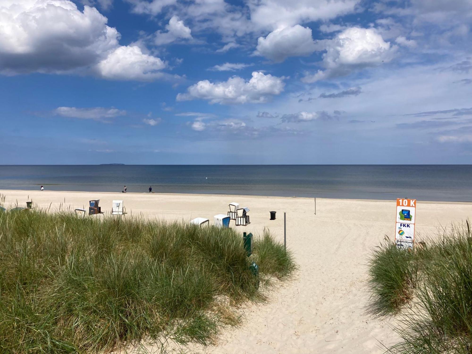 Reet Am Strand Mit Hund Karlshagen Luaran gambar