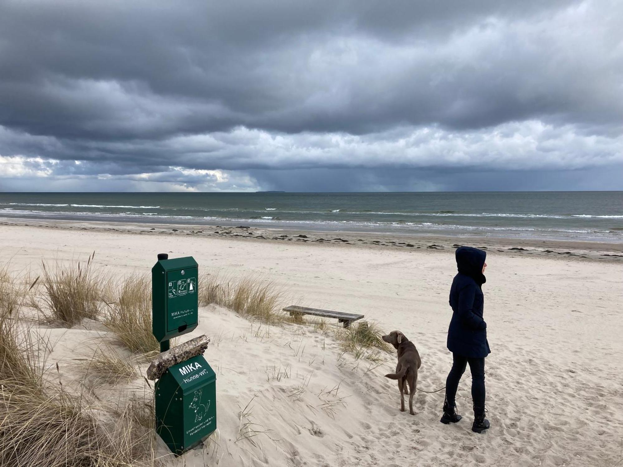 Reet Am Strand Mit Hund Karlshagen Luaran gambar