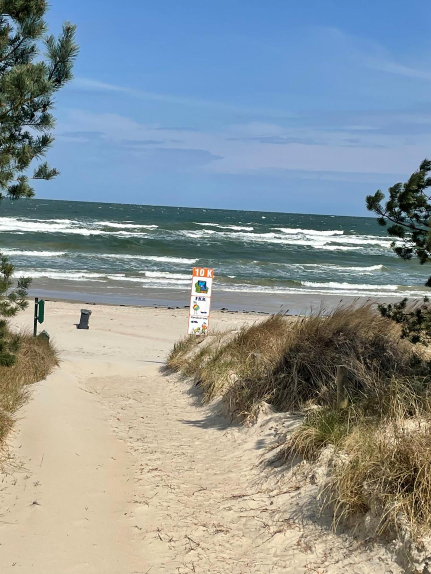 Reet Am Strand Mit Hund Karlshagen Luaran gambar